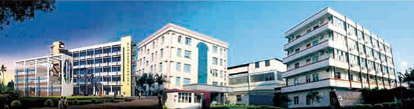 興業(yè)皮革科技股份有限公司在深交所成功上市（1992年，公司參股興業(yè)皮革廠，成為主要股東之一）。